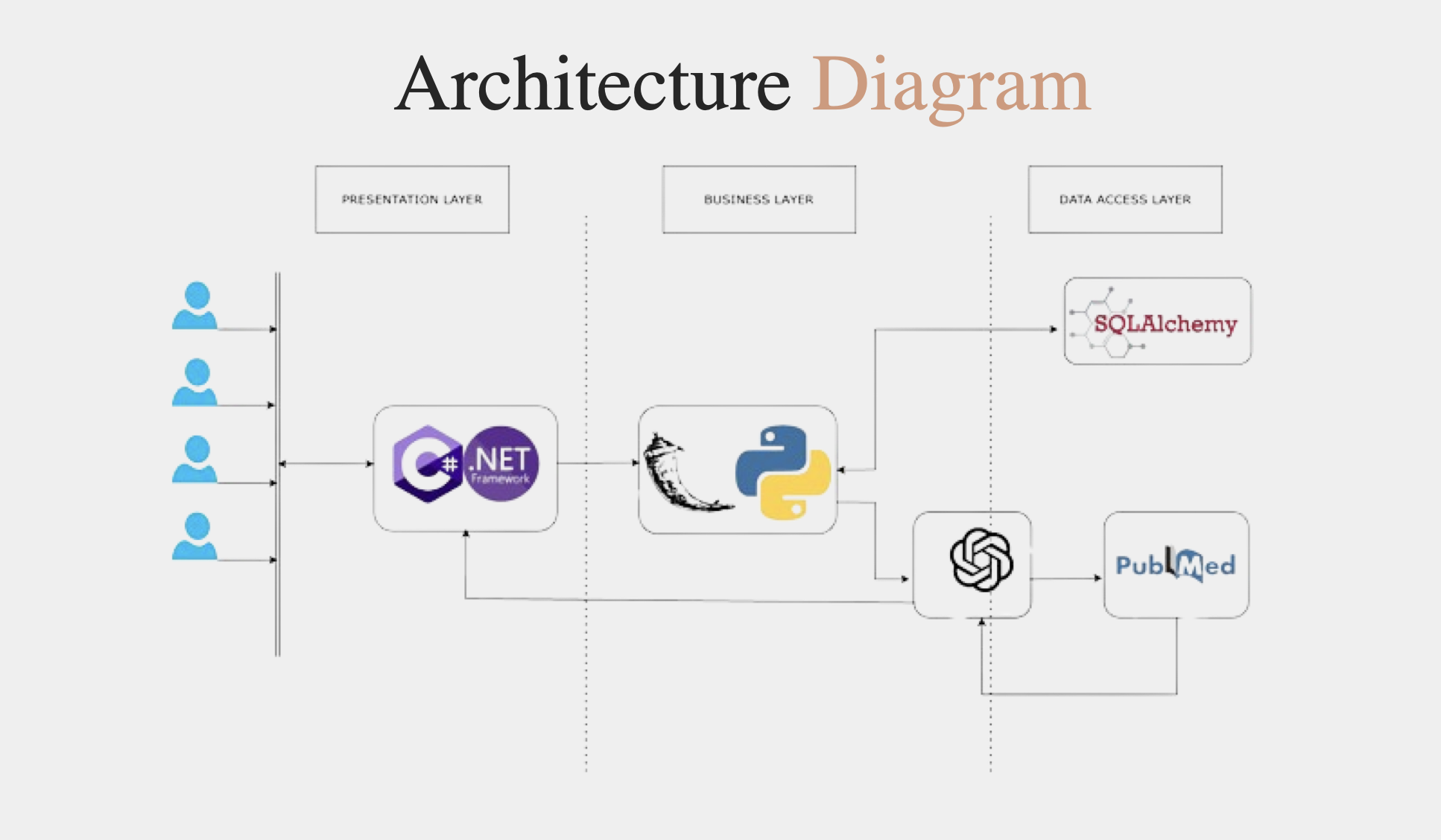 Medical LLM Architecture